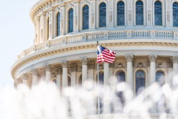 U.S. Congress dome