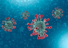 coronavirus rendering