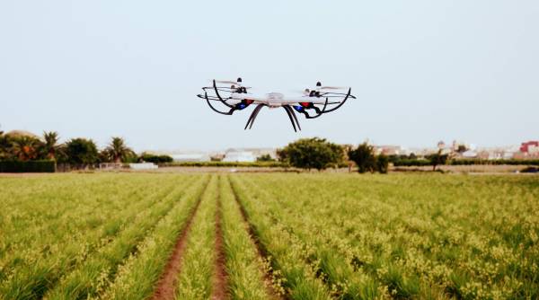 drone in a field